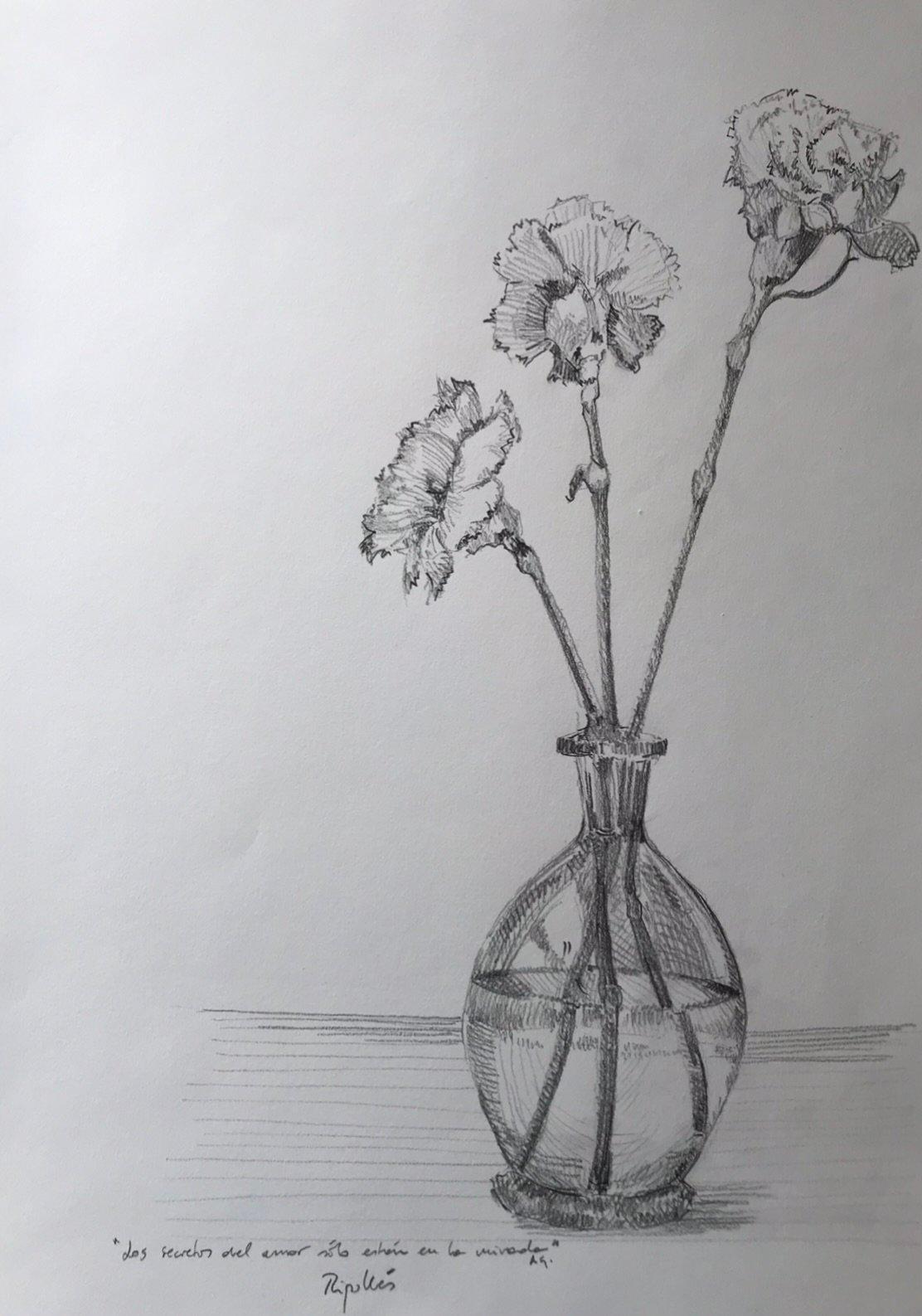 Dibujo a grafito sobre papel. Tres claveles en un jarrón de cristal. Transparencias y detalles con sensibilidad en el trazo.
