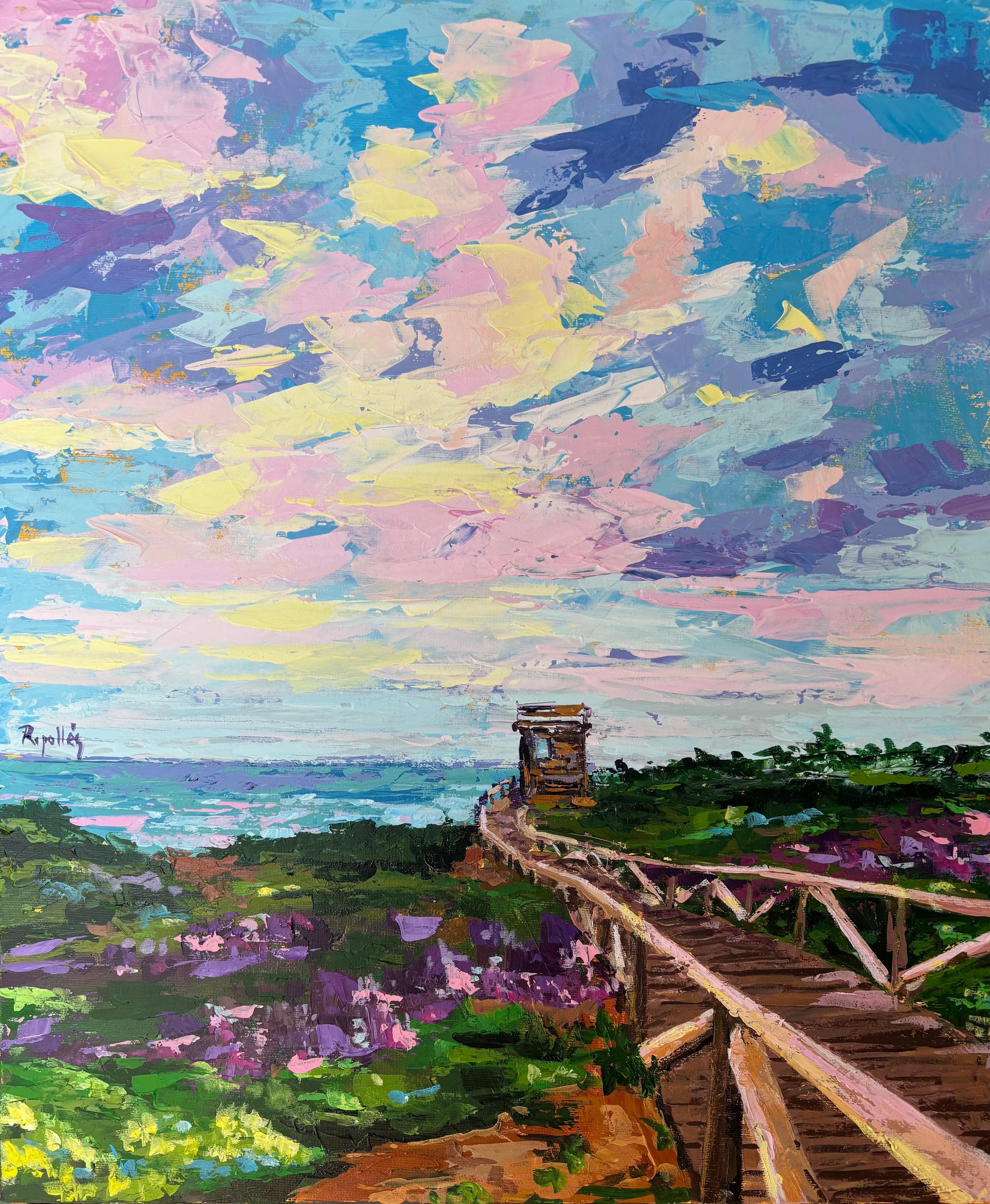 Camino de madera que lleva al mirador. Vegetación abundante y flores silvestres. Mar y cielo.