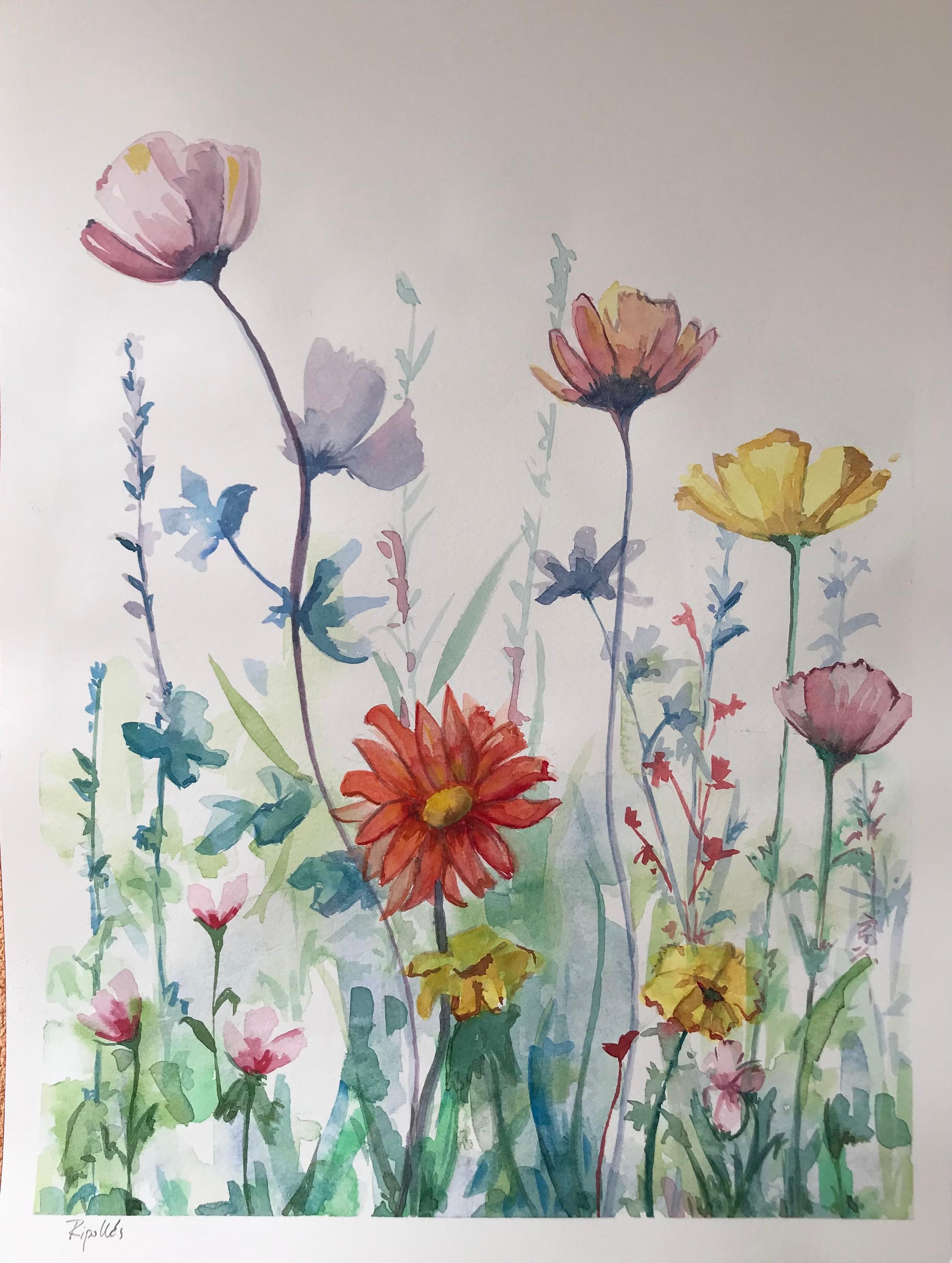 Acuarela de flores silvestres. Una amapola en el centro de la composición toma protagonismo. Composición con gran sensibilidad.