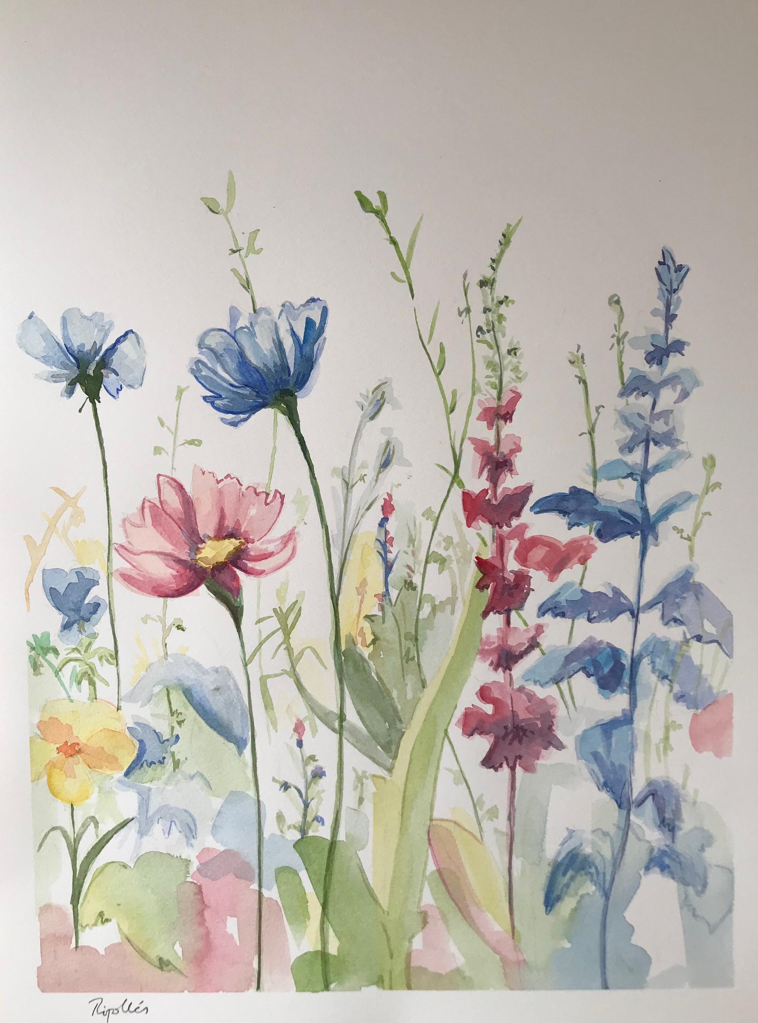 Acuarela de flores silvestres de colores carmín y azul. Líneas sinuosas y sugerentes. Sensibilidad y armonía en la composición.