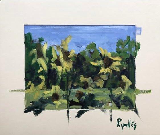 Campo de girasoles de color ocre y verde. Pincelada gestual y con textura. Firmado en el paspartú.