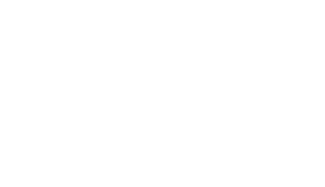 Logotipo Paloma Ripollés | Pintora de cuadros